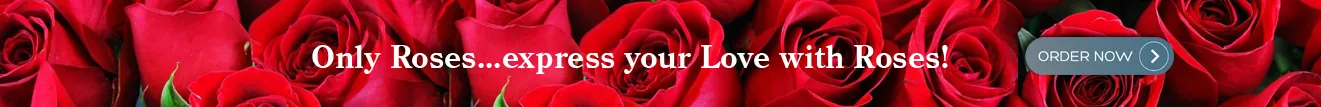 Roses Delivery